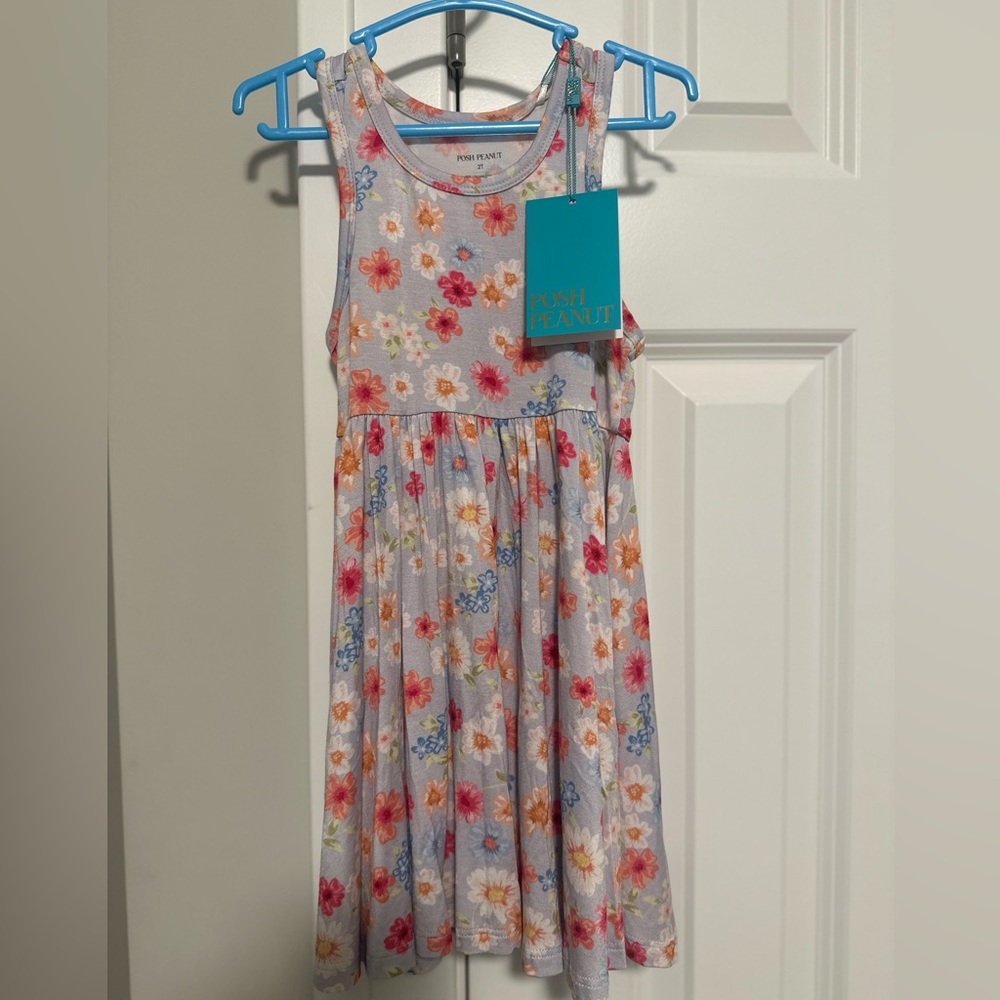 BNWT Posh Peanut 2T Carissa sleeveless racer back twirl dress